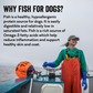 Cod Skins for Dogs by Polkadog