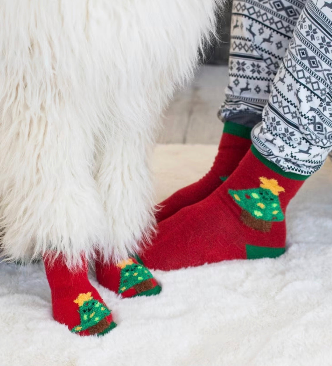 Christmas Human and Dog Sock Set Trees M/L