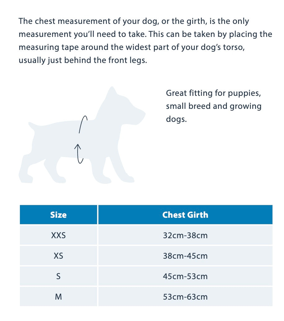 Boomerang Lightweight Non Restrictive Harness For Dogs-Adjustable