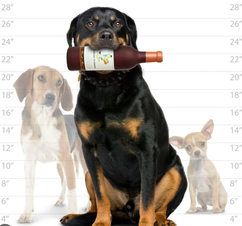 Wine Bottle Grrrobert Slobbery Squeaky Vinyl Parody Toy For Dogs