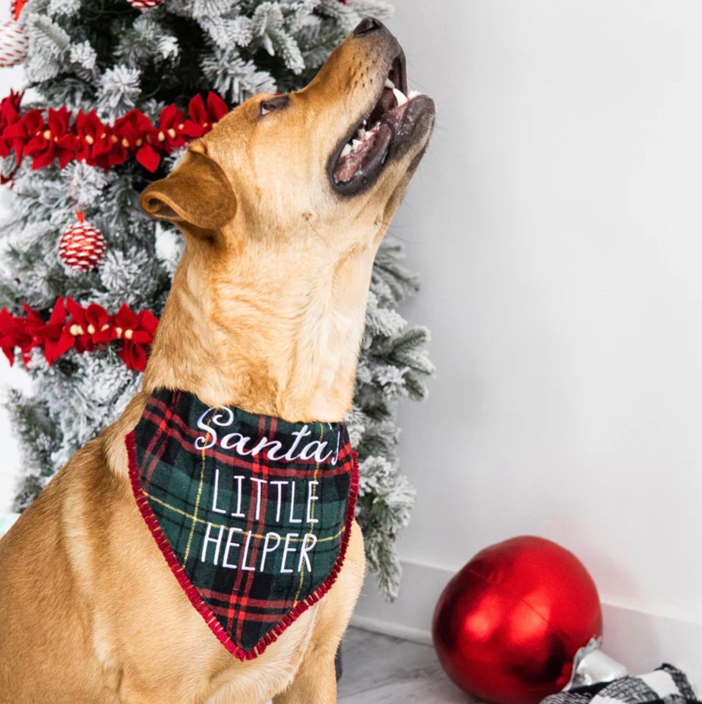 Holiday Pet Bandana