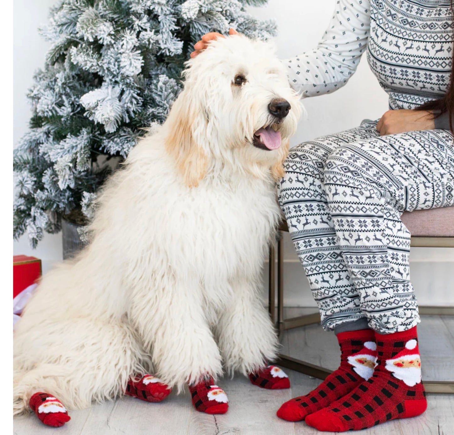 Christmas Human and Dog Sock Set Santa S/M