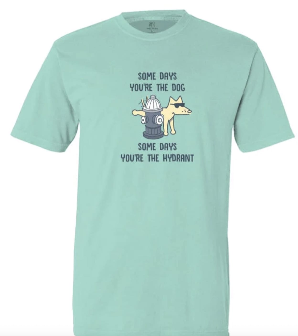 "Some Days You're The Dog" Chalky Mint Medium T-Shirt For Humans-Boats n Barks