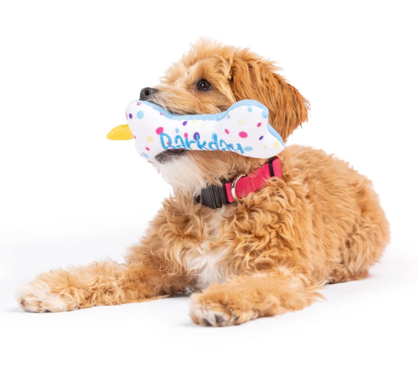 Tiny Tuff It's My Barkday Bone For Dogs