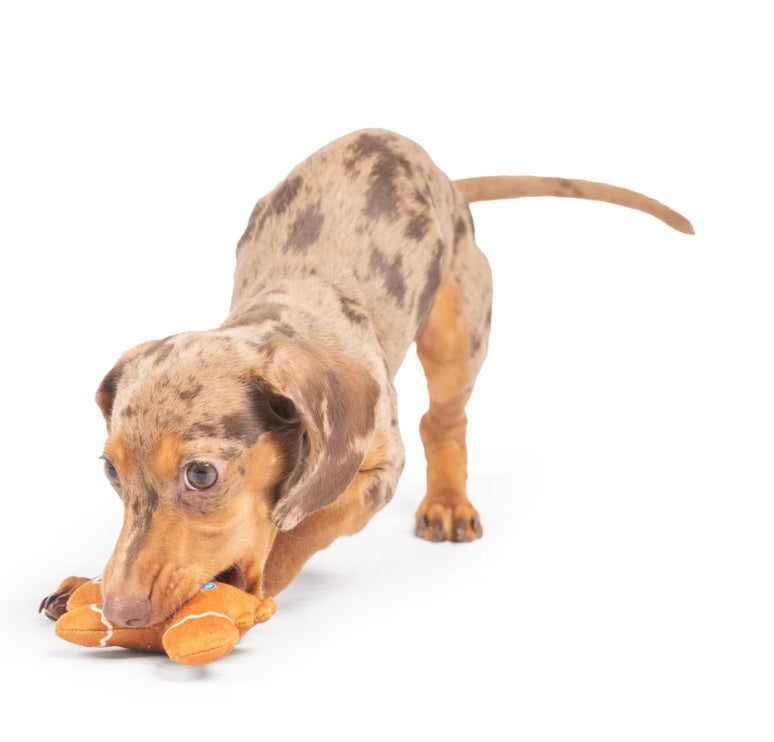 Christmas Tiny Tuff Ginger Snapped Toy For Dogs