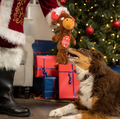 Christmas Slappies Mistletoe Dog Toy