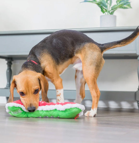Christmas "Me Did It, I Sorry" Bone Toy For Dogs