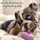 Woof Calming Wellness Pops For Dogs-Boats n Barks