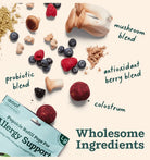 Woof Dog Treat Allergy & Immunity Support Pops-Boats n Barks