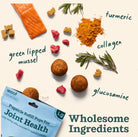 Woof Dog Treat Hip and Joint Health Wellness Pops For Dogs-Boats n Barks