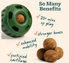 Woof Dog Treat Hip and Joint Health Wellness Pops For Dogs-Boats n Barks