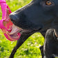 Ice Cream Lick Stick Hand-Held Interactive Enrichment Toys For Dogs