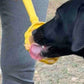 Beehive  Lick Stick Hand-Held Interactive Enrichment Toys For Dogs