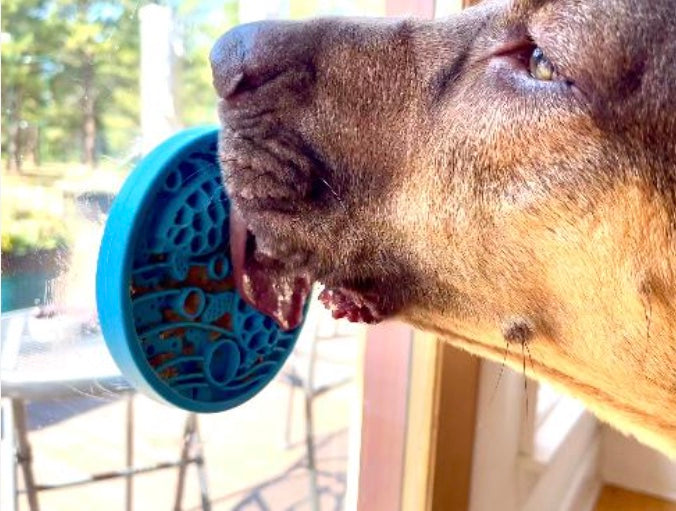 Turtle emat-mini Enrichment Lick Mat With Suction Cups