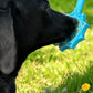 Flower Lick Stick Hand-Held Interactive Enrichment Toys For Dogs
