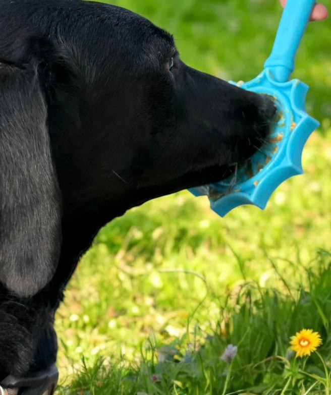 Flower Lick Stick Hand-Held Interactive Enrichment Toys For Dogs