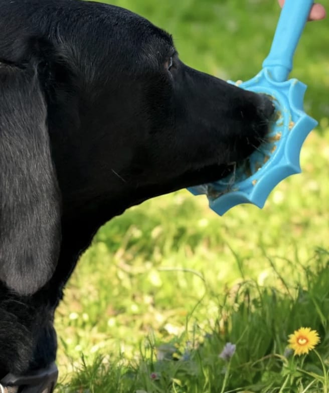 Flower Lick Stick Hand-Held Interactive Enrichment Toys For Dogs-Boats n Barks