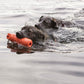 Kong Training Dummy Floating Toy for Dogs