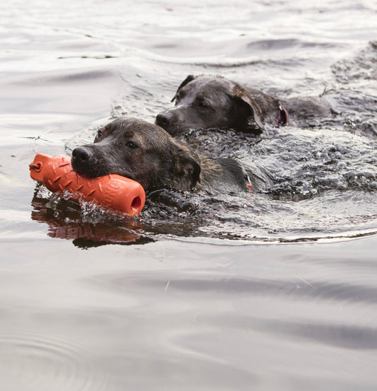 Kong Training Dummy Floating Toy for Dogs