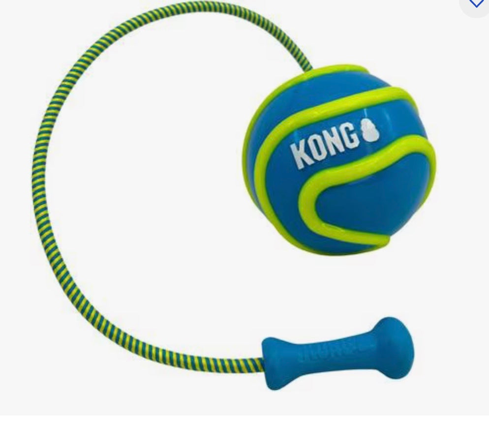 KONG Bunji High-Viz Ball Dog Toy for Dogs