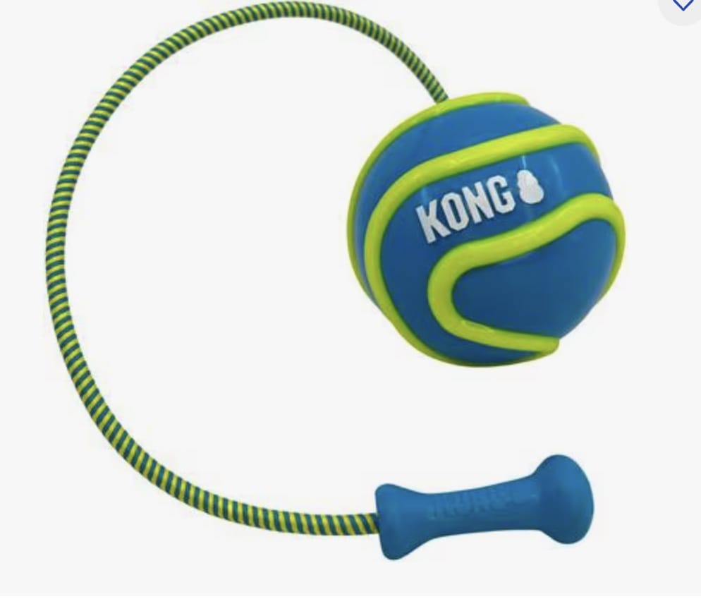 KONG Bunji High-Viz Ball Dog Toy for Dogs-Boats n Barks