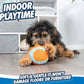 Chuck It! Indoor Ball for Dogs