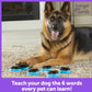 Talking Pet Essential Words For Dogs Teach your Dog to Talk Kit