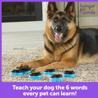 Talking Pet Essential Words For Dogs Teach your Dog to Talk Kit-Boats n Barks