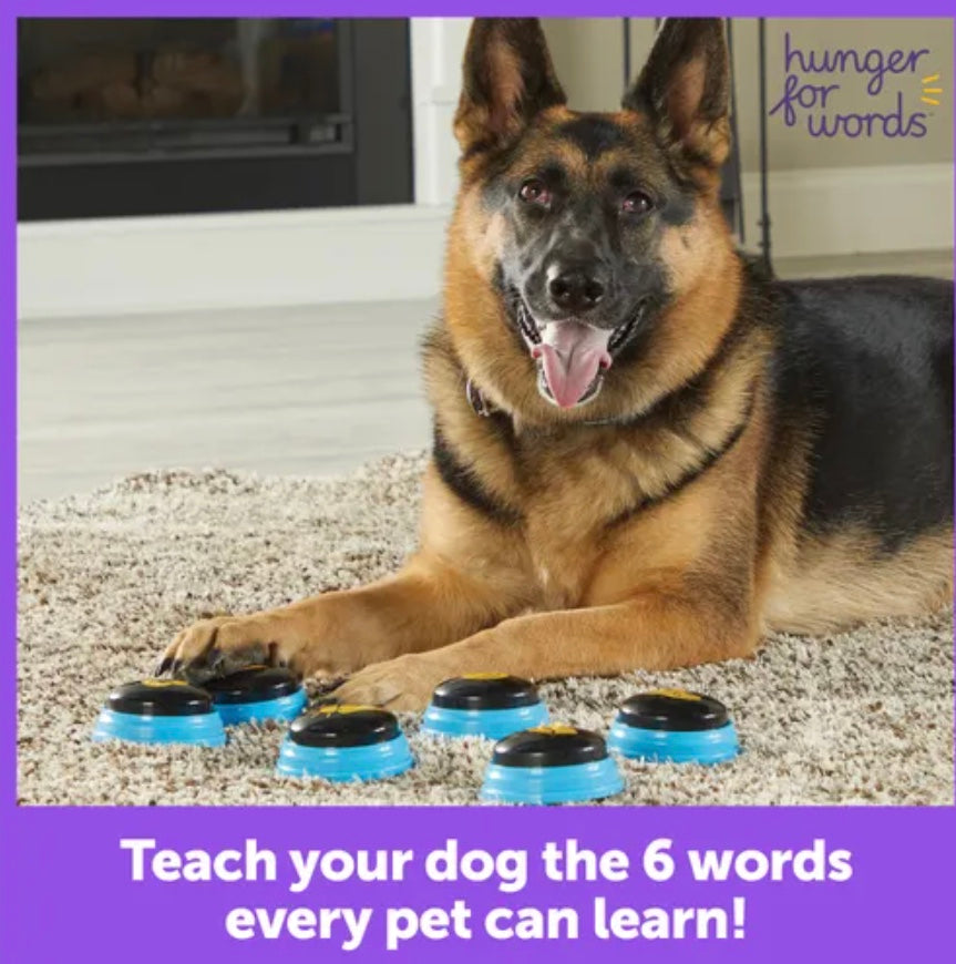 Talking Pet Essential Words For Dogs Teach your Dog to Talk Kit
