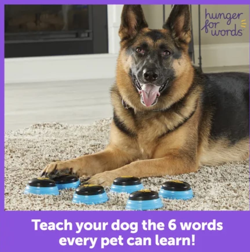 Talking Pet Essential Words For Dogs Teach your Dog to Talk Kit-Boats n Barks