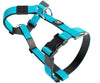 Mini Tri-Harness Anti-Pull, Adjustable and Durable Harness For Dogs Medium