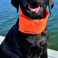 Arctic Bay Cooling Collar for Dogs