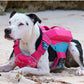 Baydog Monterey Bay Life Jacket for Dogs Bermuda Pink