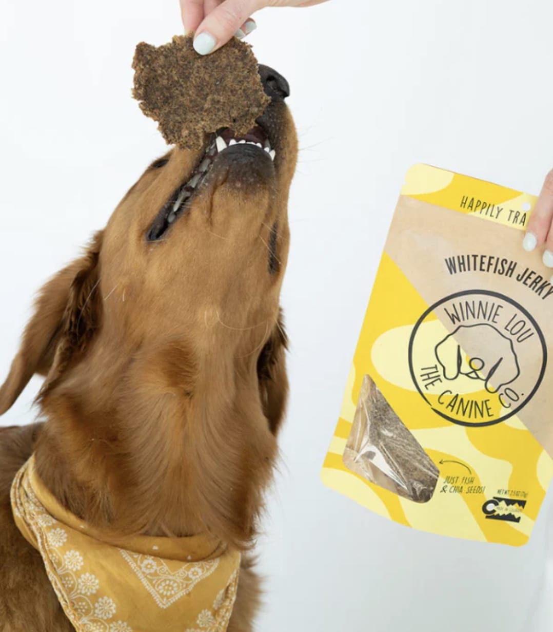 Whitefish Jerky For Dogs-Boats n Barks