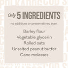 Wonder Nuggets Soft and Chewy Bites for Dogs-Peanut Butter-Boats n Barks