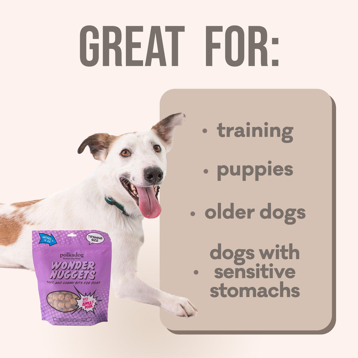 Wonder Nuggets Soft and Chewy Bites for Dogs-Apple & Pork-Boats n Barks