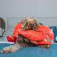 Fluff & Tuff Manny Lobster - Medium Plush Dog Toy