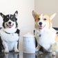 Manor Ceramic Treat Jar with Dog Bones with Air Tight Lid