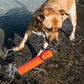 Katie's Floating Bumper Fetch Dog Toy Orange