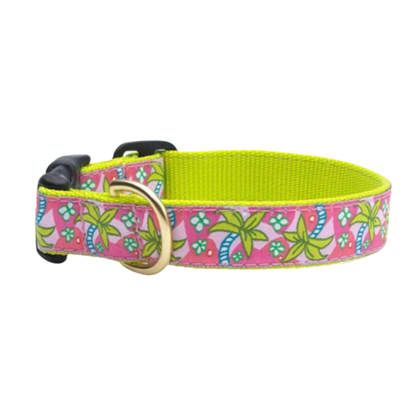 Pink Palms Dog Collar by Up Country