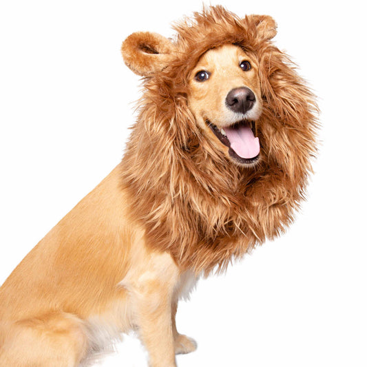 Halloween Dog Costume Lion Mane-neck size 13"-32"