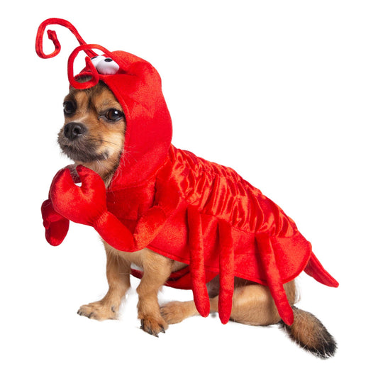 Halloween Dog Costume Lobster