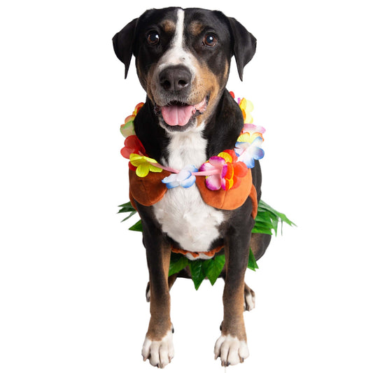 Halloween Dog Costume Hula Girl