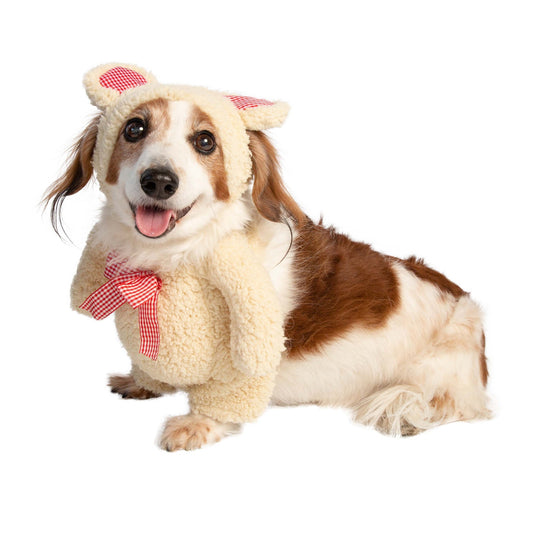 Halloween Dog Costume Walking Teddy Bear