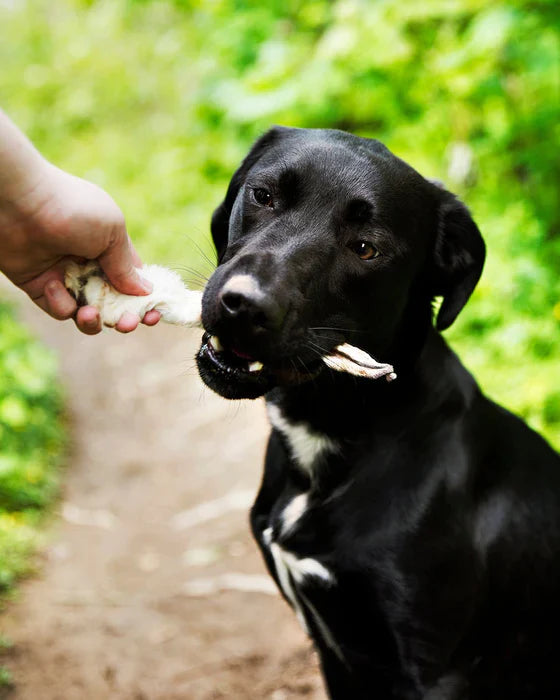 JR Pet Products UK Natural Rabbit Ears with Hair for Dogs 1KG