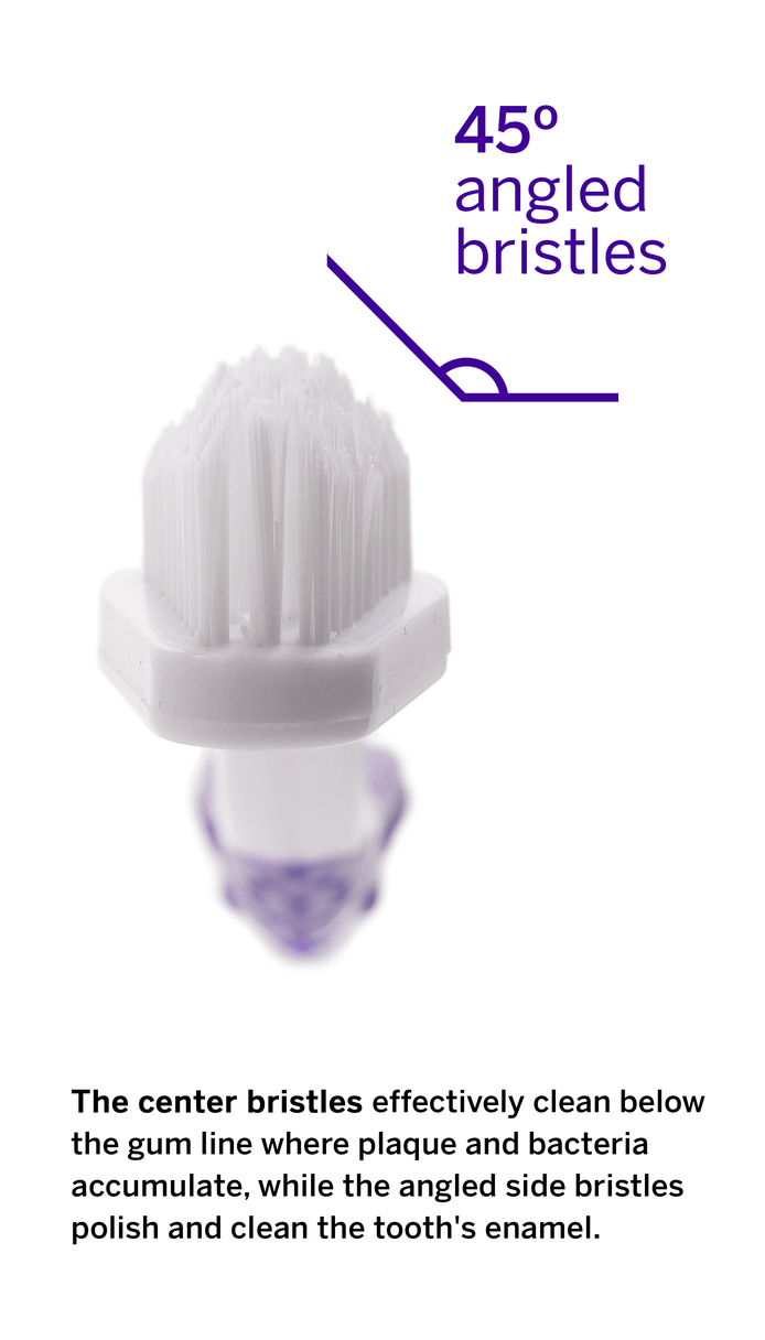 Petsmile Dual Ended Toothbrush for Small and Large Dogs-Boats n Barks