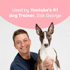 Freeze Dried Mango Training Treats for Dogs by Pupford-Boats n Barks