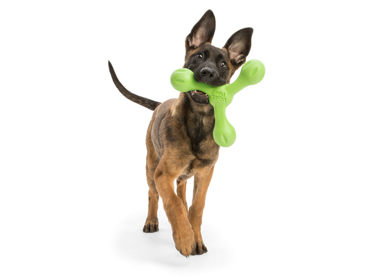 West Paw Skamp Dog Toy Floats, Bounces, Tug of War Toy