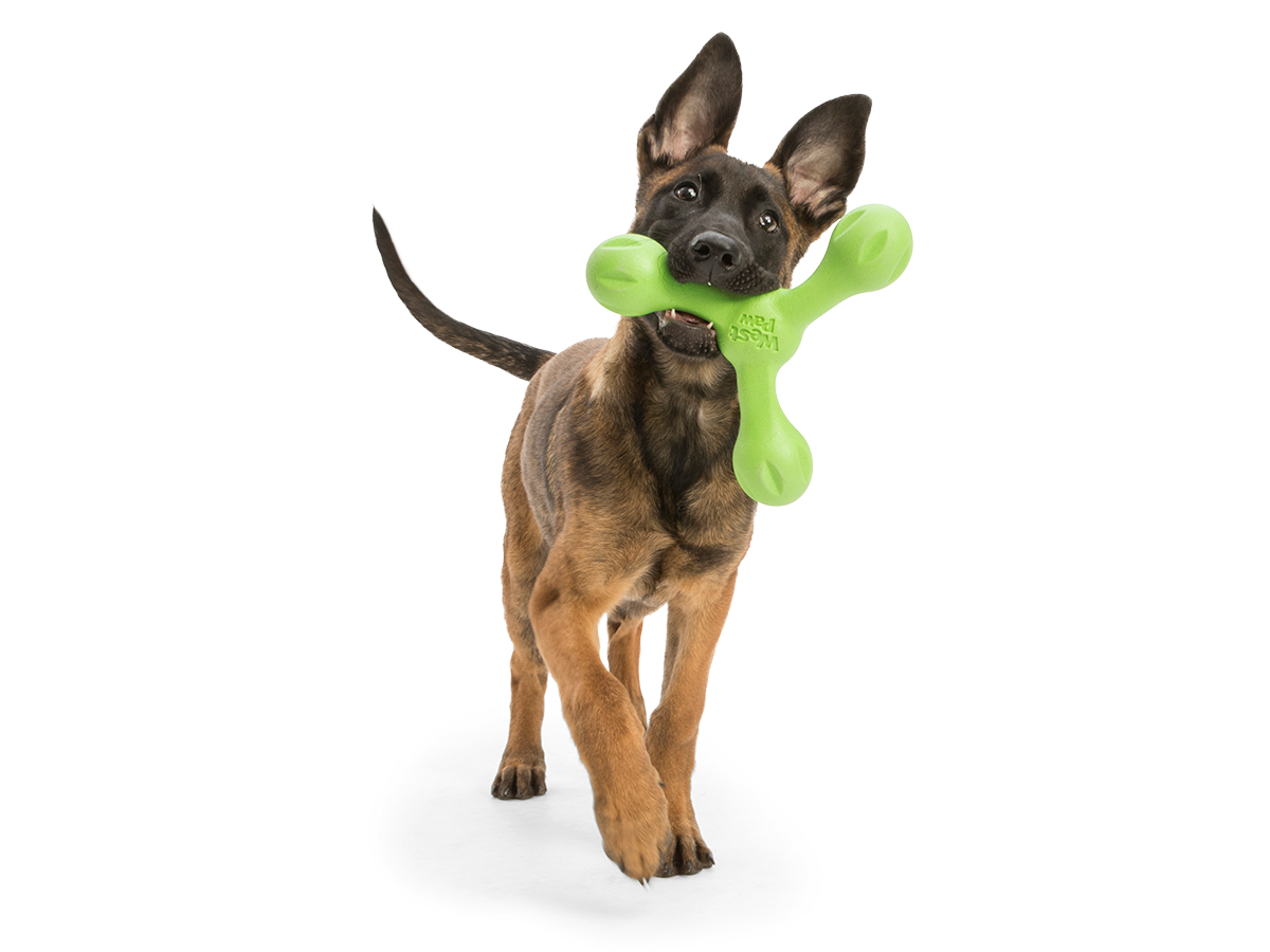 West Paw Skamp Dog Toy Floats, Bounces, Tug of War Toy