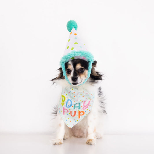 Birthday Hat (doubles as a toy) and Bandana for Small/Medium Dogs
